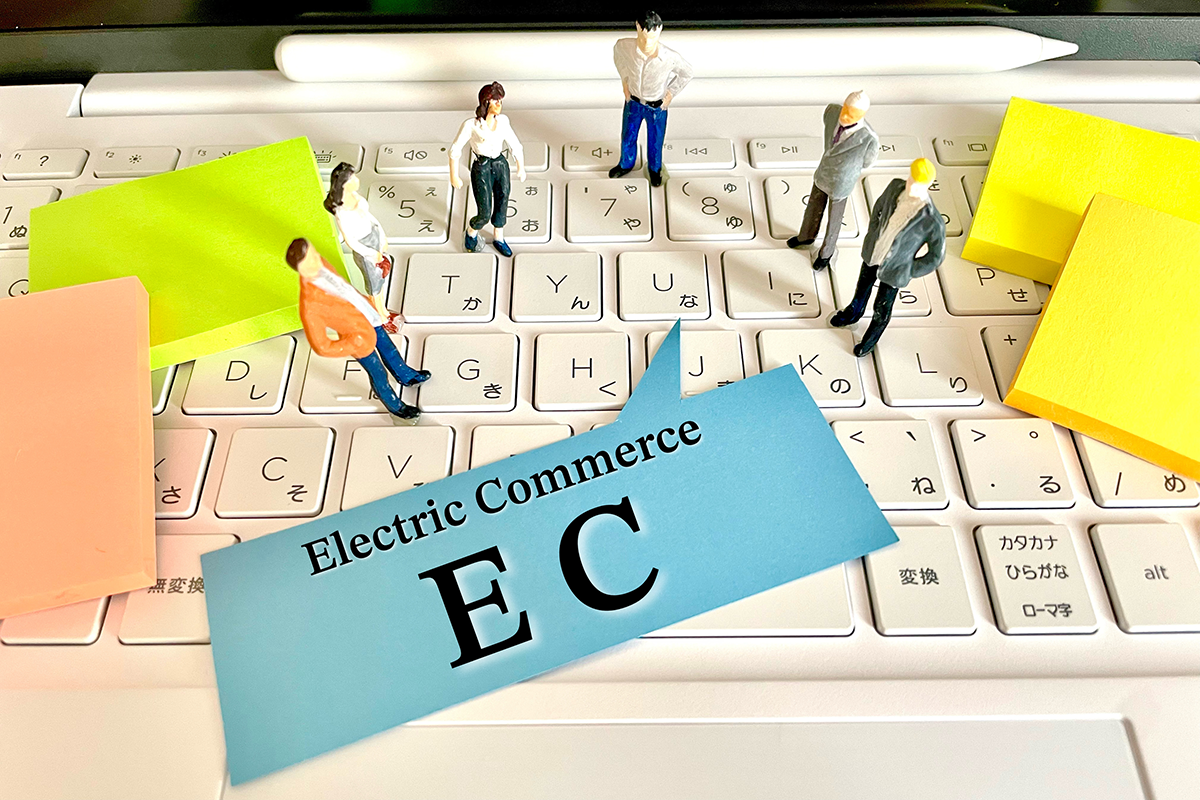 不正注文対策」「通販システム・EC導入の重視点」に関する調査イメージ